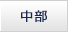 中部
